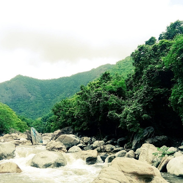 covalley